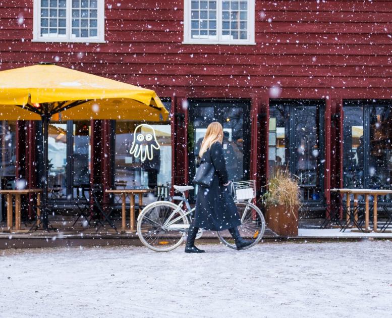 Hart Bakery in the snow